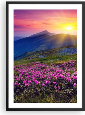 Produktbild von Gerahmtes Poster - Schwarzer Rahmen - Wiese Berge Landschaft - 50x70 cm - Wand Bild - Wanddeko - Wandbilder - Kunstposter - Wandposter - Bilderrahmen - Bilder - Kunstdruck - Wandbild - P2BPA50x70-2676