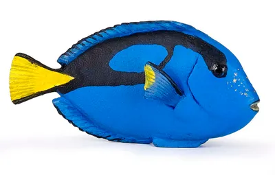 Produktbild von Papo Doktorfisch, 36 g