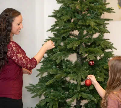 Zdjęcie produktu dla Evergreen Sztuczna choinka Sherwood Świerk zielony 210 cm