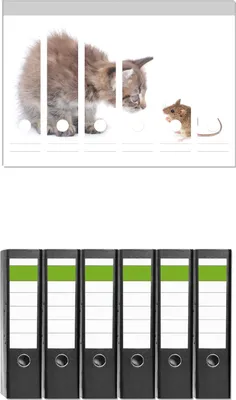 Produktbild von Wallario 6 Stück breite Ordner inkl. Klebeetiketten mit Motive Katze und Maus beim Spielen - weißer Hintergrund -  Set mit Rückenschildern / Ordnerrücken Stickern