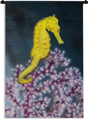 Produktbild von MuchoWow® Wandteppich Wandbehang Gelbes Seepferdchen 60x90 cm Tapisserie Dekoration Wandtuch - Foto-Teppich - Abwaschbar
