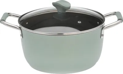 A light green cooking pot with a glass lid and silver handles is shown against a white background.