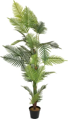 Immagine prodotto di EUROPALMS Palma Areca, pianta artificiale, 180 cm (82509415)