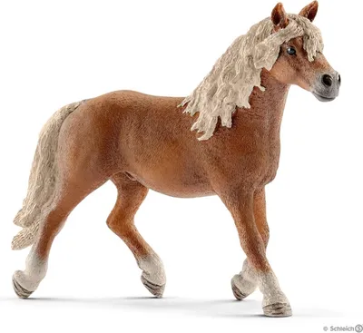 Obrázek produktu pro Schleich 13813 Hřebec haflinga
