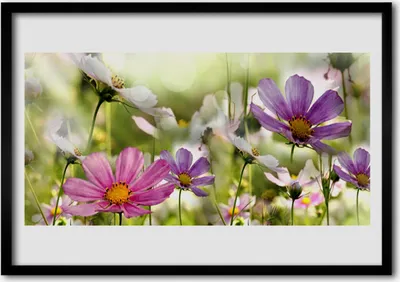 Produktbild von Bild 100x70 MDF-Rahmen Wandkunst Blumen Pflanzen Natur