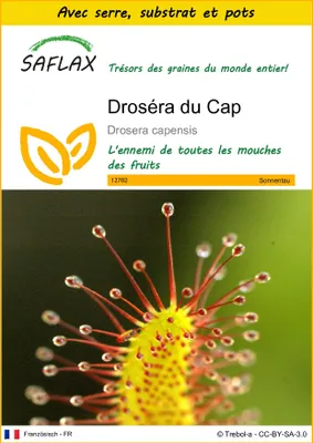 Image de SAFLAX Ensemble de culture - Droséra du Cap - 200 graines - Drosera