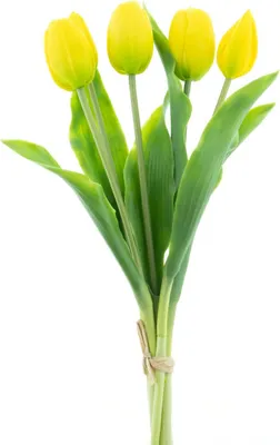Produktbild von Warentuin Producten