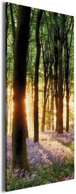 Produktbild von Wallario Premium Leinwandbild Blaue Hasenglöckchen im Wald mit Sonnenstrahlen in Größe 30 x 75 cm