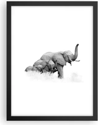 Produktbild von Gerahmtes Poster - Schwarzer Rahmen - Elefanten Familie Schwarz und Weiß - 30x40 cm - Wand Bild - Wanddeko - Wandbilder - Kunstposter - Wandposter - Bilderrahmen - Bilder - P2BPA30x40-4374