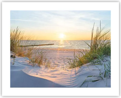 Produktbild von Poster - Poster ohne Rahmen - Düne Strand Meer - 50x40 cm - Wand Bild - Wanddeko - Wandbilder - Kunstposter - Wandposter - Bilder - Kunstdruck - Wanddekoration - Wandbild - P2XAA50x40-3989