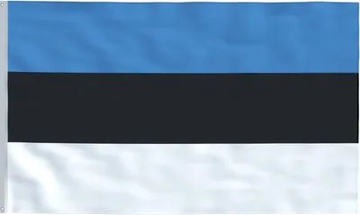 Zdjęcie produktu dla Go Go Gadget – Flaga – 90 x 150 cm – Estonia