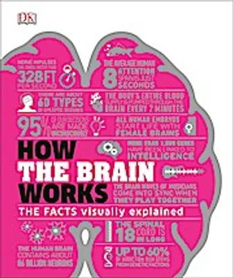 Productafbeelding van How the Brain Works