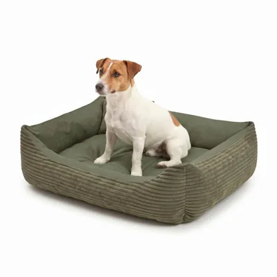 Produktbild von 4L Textil MOLLY Hundebett aus Cord mit Rand, komplett waschbar, für kleine Hunde und Katzen, 60x40 cm, Olivgrün