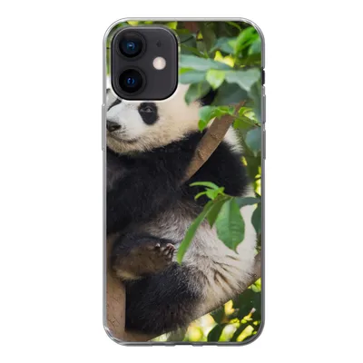 Produktbild von MuchoWow® Handyhülle Schutzhülle Hülle für iPhone 12 Panda - Tier - Baum Silikon Softcase Handy Hülle - Schutzhülle
