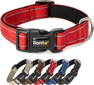 Produktbild von lionto Hundehalsband reflektierend, gepolstert & verstellbar aus Nylon und Neopren, (M) verstellbare Länge 35-50 cm, rot
