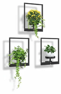 Image de DETENE - Étagère murale pour plantes - Noir - Métal - Rectangulaire, Image générée par une IA