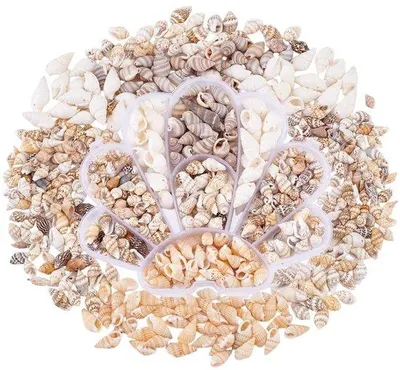 Produktbild von Tagesartikel- Dekorative Schalen 460 Stück - Mini-Shells - Natürliche Spirale - Für Schmuck - DIY Handwerk - Ideal für Ohrringe