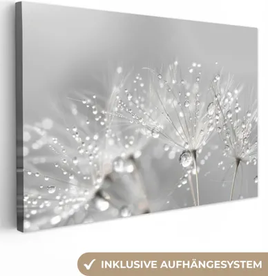 Produktbild von MuchoWow® - Leinwandbilder - Löwenzahn - Wassertropfen - Stilleben - Modern, Wandbild, Wanddeko Bilder Wohnzimmer, 120x80 cm