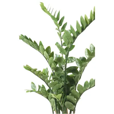 Produktbild von Emerald Kunstpflanze Zamioculcas Grün 110 cm 11.662C
