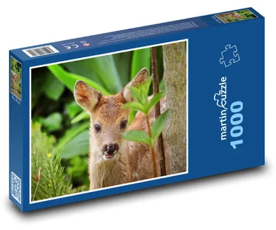 Obrázok produktu pre Puzzle 1000 Koloušik v letnom lese - martinpuzzle