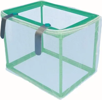A product shot of a fish tank breeding box.