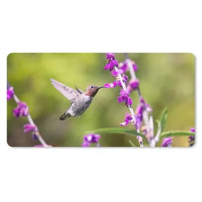 Produktbild von MuchoWow® Schreibtischunterlage Kolibri - Vogel - Natur 80x40 cm - XXL Mauspad - Gaming Mauspad