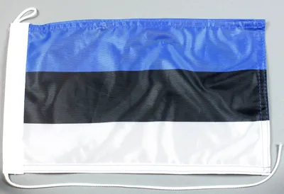 Produktbild von Bootsflagge : Estland 30x20 cm Motorradflagge
