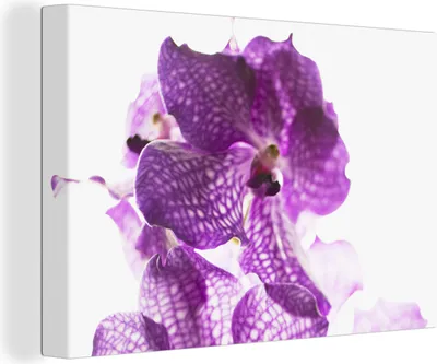 Obrázek produktu pro OneMillionCanvasses® Malba na plátně Nástěnná malba na plátně - Fialové orchideje - 150x100cm