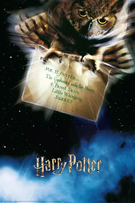 Obrázek produktu pro Harry Potter Plakát Hedvika Dopis z Bradavic 61 x 91,5 cm