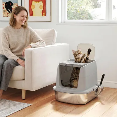 Produktbild von SUGIFT Katzentoilette Edelstahl geschlossen, mit Deckel & Schaufel, Katzenklo mit Fronteinstieg Hellgrau | 52,4 x 41,3 x 39,8 cm | 2,6 kg