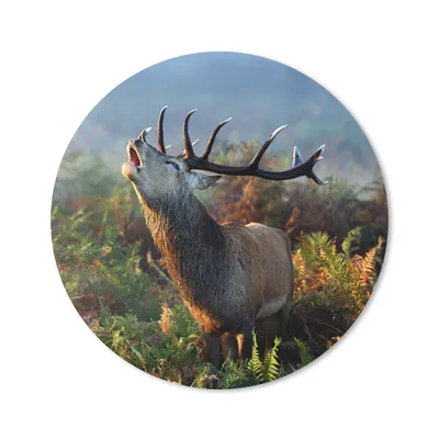 Produktbild von MuchoWow® Mauspad Mousepad Hirsche - Wald - Nebel 50x50 cm - Mousepads - Maus Mat - Pad - Mausunterlage - Vinyl
