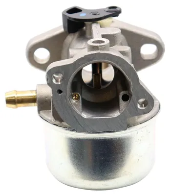 Produktbild von Vergaser für Briggs & Stratton Quantum 498170 498254 498255 497586 698444 799868