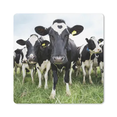 Produktbild von MuchoWow® Mauspad Mousepad Kühe - Gras - Frühling - Tiere - Wiese - Bauernhof 20x20 cm - Mousepads - Maus Mat - Pad - Mausunterlage - Desk Mat - Bureauartikeln