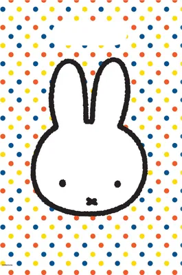 Image de sacs de fête Miffy 6 pièces