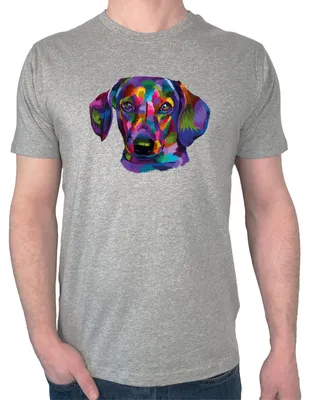Produktbild von Huuraa Herren T-Shirt Dackel Colorful 3XL Sport Grey Bio Baumwolle Fairtrade Herrenshirt Geschenkidee
