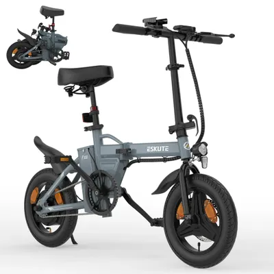Immagine prodotto di E-Bike ESKUTE F100 (pneumatici da 14 pollici, motore da 250 W, batteria da 36 V 9 Ah, freni a disco meccanici) – Grigio