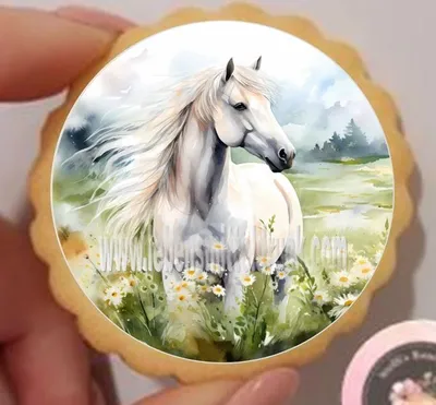 Produktbild von Pferd weiß rund  Keks / Cupcake Aufleger 1 Seite A4 Saracino Cake Paper - leicht raue Oberfläche keine - einfach selber ausschneiden 3,8 cm 35 Stk.
