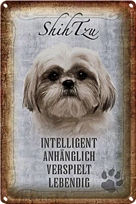 Produktbild von Blechschild Spruch 12x18cm Shih Tzu Hund