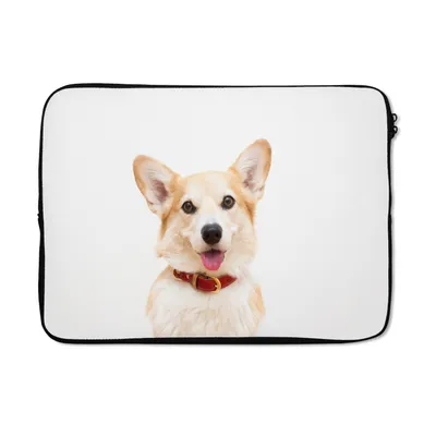 Produktbild von MuchoWow® Laptop Hülle 13 Zoll Corgi mit Halsband auf weißem Hintergrund Laptoptasche - Laptophülle - Sleeve - Rundumschutz
