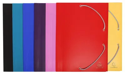 Immagine prodotto di Exacompta 55900E cartella Polipropilene (PP) Multicolore A4
