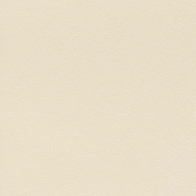 Zdjęcie produktu dla Tapeta flizelinowa 752625 Jednokolorowa tapeta gładka 53 x 1005 cm Rasch African Queen III Beige