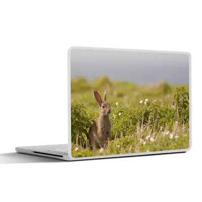 Produktbild von MuchoWow® Laptop Aufkleber Sticker Cover Kaninchen - Blumen - Gras 36.5x27.5 cm - Laptop-Sticker