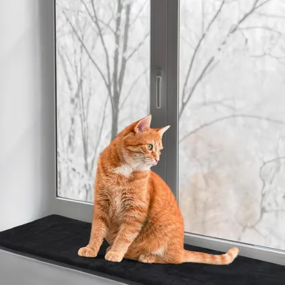 Produktbild von Weiche Katzenliege für die Fensterbank (90 x 30 cm)