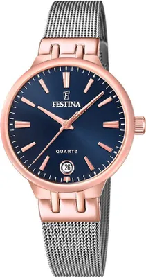 Obrázek produktu pro Hodinky Festina F20715-3 stříbrné