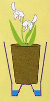 Produktbild von Orchideenübertopf Ola, Farbe:Anthrazit