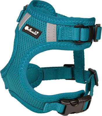A teal dog harness is shown against a white background.