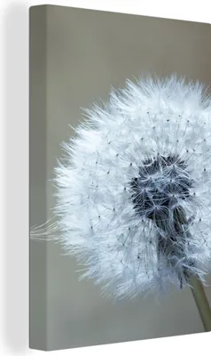 Produktbild von MuchoWow® - Leinwandbilder - Löwenzahn - Blume - Pflanze, Wandbild, Wanddeko Bilder Wohnzimmer, 80x120 cm