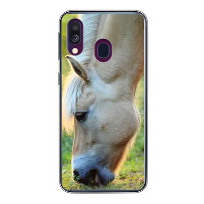 Produktbild von MuchoWow® Handyhülle Schutzhülle Hülle für Samsung Galaxy A40 Weidendes Fjordpferd an einem Sommertag Silikon Softcase Handy Hülle - Handy-Tasche