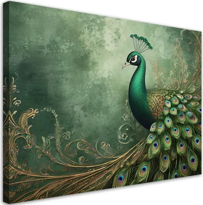 Produktbild von Leinwandbild Pfau Tiere exotischer Vogel Natur 90x60 Feeby Grün bild für die wand bereit zum aufhängen