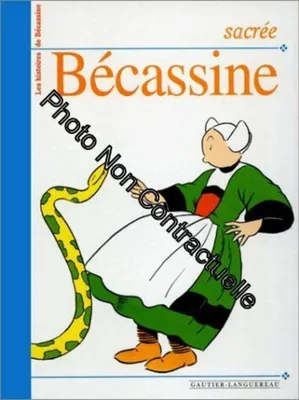 Image de Sacrée Bécassine